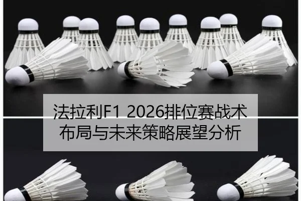 fa-la-li-pai-wei-sai-zhan-shu-bu-ju-yu-wei-lai-ce-lve-zhan-wang-fen-xi-2-342.jpg