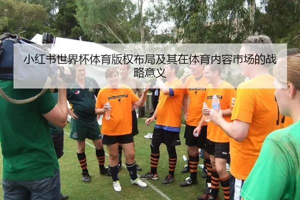 小红书世界杯体育版权布局及其在体育内容市场的战略意义